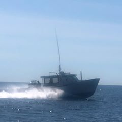 Profile Picture of Devin Savoie (@devinsavoie2) on Tiktok