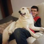 Profile Picture of Aaron Palomares Baixauli (@aaronpalomares5678) on Instagram