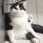 Profile Picture of AiLing Hsu (@ailing.hsu.2025) on Facebook