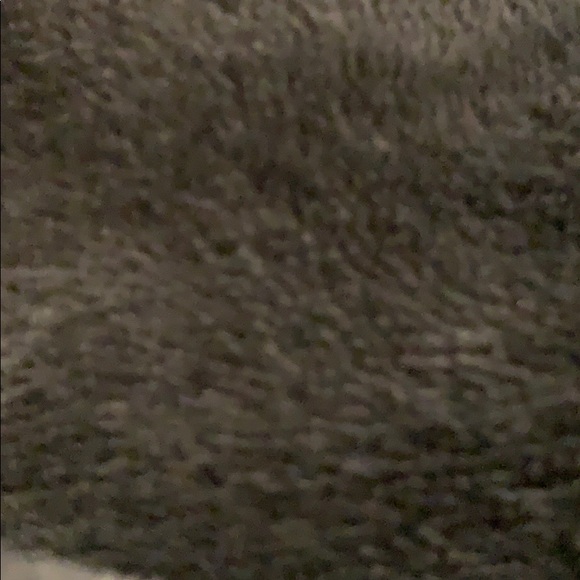 Profile Picture of Christina Lisle (@christinalisrl) on Poshmark