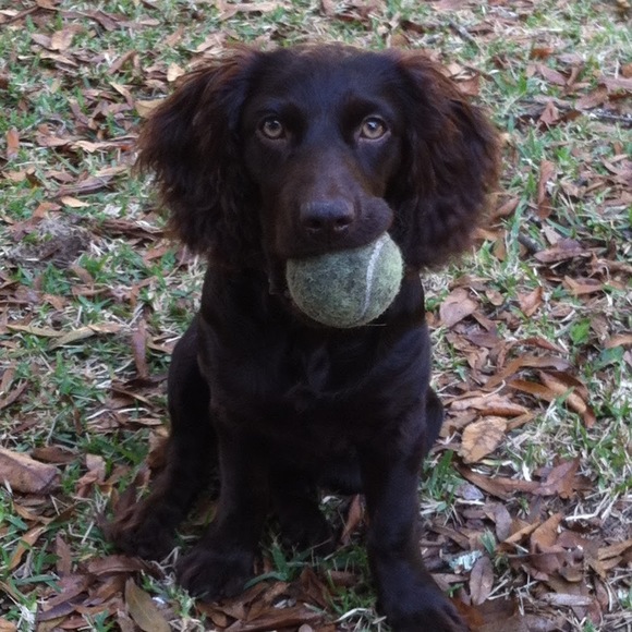 Profile Picture of Lee Sparwasser (@leesparwasser08) on Poshmark