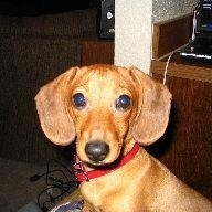 Profile Picture of Stretch Stretch (@alaskastretch) on Myspace