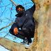 Profile Picture of Justin Sherrod (@justin.sherrod.946) on Facebook