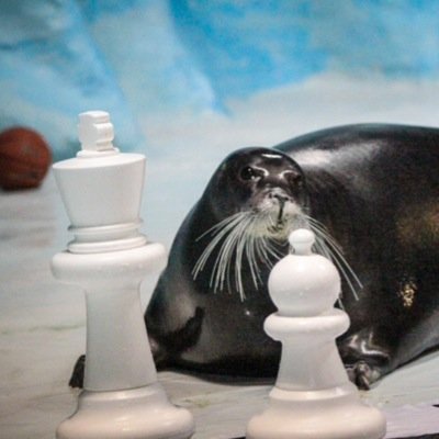 Profile Picture of Wait, This Is Bad! (@Timothy_Pearce) on Twitter