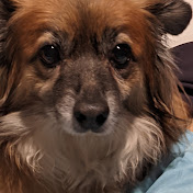 Profile Picture of Zackary Roberts (@zackaryroberts7419) on Youtube