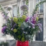 Profile Picture of Mathieu Delberghe (@het_paleitje) on Instagram
