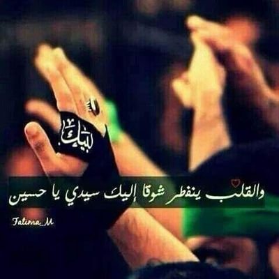 Profile Picture of Mustafa Hamid (@mustafahamid95) on Twitter