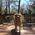 Profile Picture of Roxanne Waller (@waller.roxanne) on Instagram