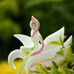 Profile Picture of Jasbinder Kaur (@jasbinder.kaur.108) on Instagram