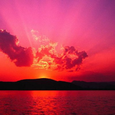 Profile Picture of Vikki Newton (@binnie23) on Twitter