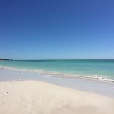 Profile Picture of Lisa Cardinal (@lisamcardinal) on Twitter