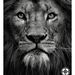 Profile Picture of Scott Boman (@boman2135) on Pinterest