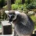 Profile Picture of David Sonenberg (@david.sonenberg.315) on Facebook