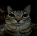 Profile Picture of Sergio Lucio (@Sergio-Lucio) on Facebook