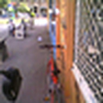 Profile Picture of marco antonio hermida gomez (@hermida 85) on Flickr