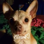 Profile Picture of Sheryl Clinton Tomlinson (@ddplady) on Instagram