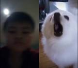 Profile Picture of   David Thomas Liu... (@davidthomasli) on Tiktok