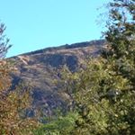 Profile Picture of Joe Hilley (@therealjoehilley) on Instagram