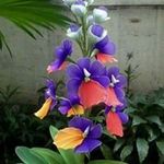 Profile Picture of pete barrett (@lintonbarrett123) on Instagram