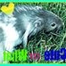 Profile Picture of Squires Harold Román Apter (@squires.apter) on Facebook