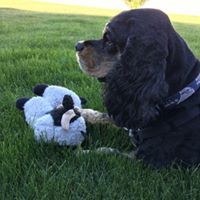 Profile Picture of Janet Hall (@janet-hall-48) on Quora