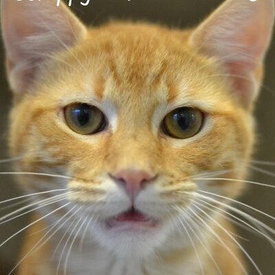 Profile Picture of Debbie Atchison (@sjmamom) on Twitter