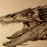 Profile Picture of Joshua Rodriguez (@joshua-rodriguez-382) on Quora