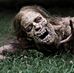 Profile Picture of Steven Dunfee (@steven.dunfee.397) on Facebook
