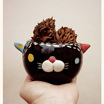 Profile Picture of Miriam Brugmann (@• miriam brugmann •) on Flickr