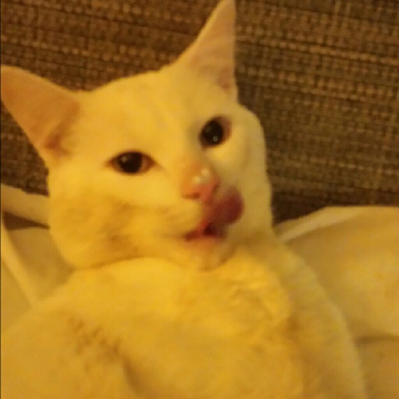 Profile Picture of Amanda Pugh (@buckeyegirl756) on Poshmark