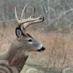 Profile Picture of joey lowery (@deerhuntrr11) on Instagram