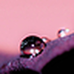 Profile Picture of Carly (@carly-bing) on Flickr