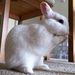 Profile Picture of Nathaniel Leong (@nathanielleong) on Pinterest