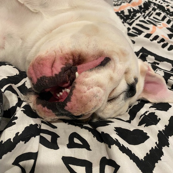 Profile Picture of Joanne Clark (@joannemclark) on Poshmark