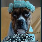 Profile Picture of Eugene Lottering (@eugene.lottering) on Instagram