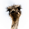 Profile Picture of Marc Fischer (@mf2711) on Flickr
