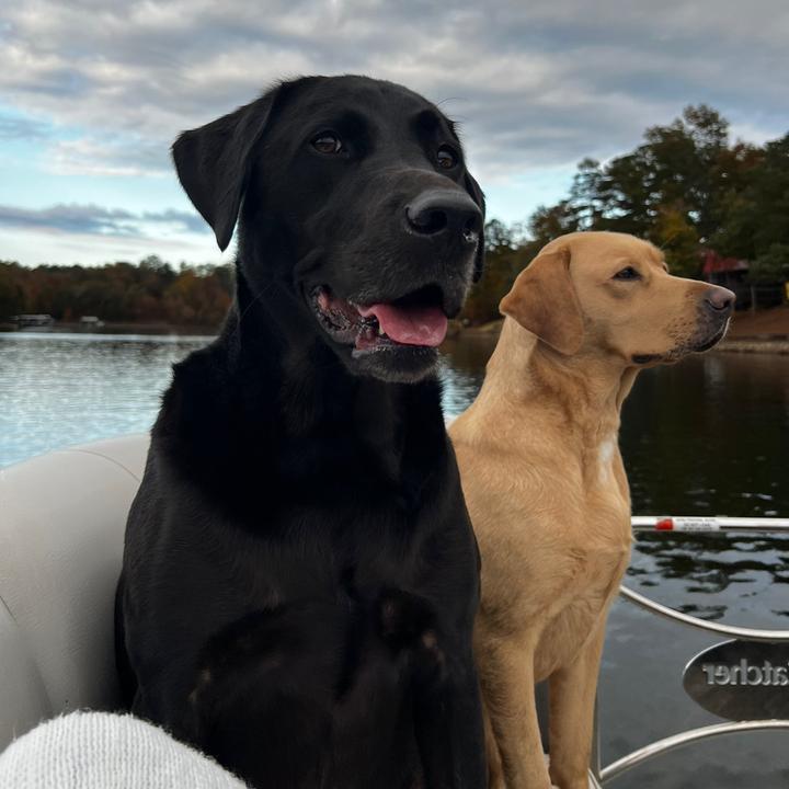 Profile Picture of JAYCEEMARTIN (@@jaymartin_12) on Tiktok