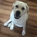 Profile Picture of Trent McGrath (@mcgrath9370) on Pinterest