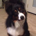 Profile Picture of Michael Binz (@mrb454) on Instagram