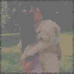 Profile Picture of Audra Terry (@sandylatsonipk) on Instagram