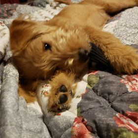 Profile Picture of Micki Hoover (@mickib2000) on Pinterest