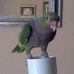 Profile Picture of Jerome Kern (@jerome.kern.77) on Facebook