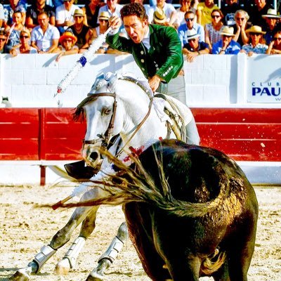 Profile Picture of Leonardo Hernandez (@Leonard98729771) on Twitter