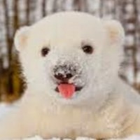 Profile Picture of Chloe Hay (@chloe-hay) on Quora