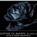 Profile Picture of Martha Fonseca Ducuara (@martha.fonseca.7777) on Facebook