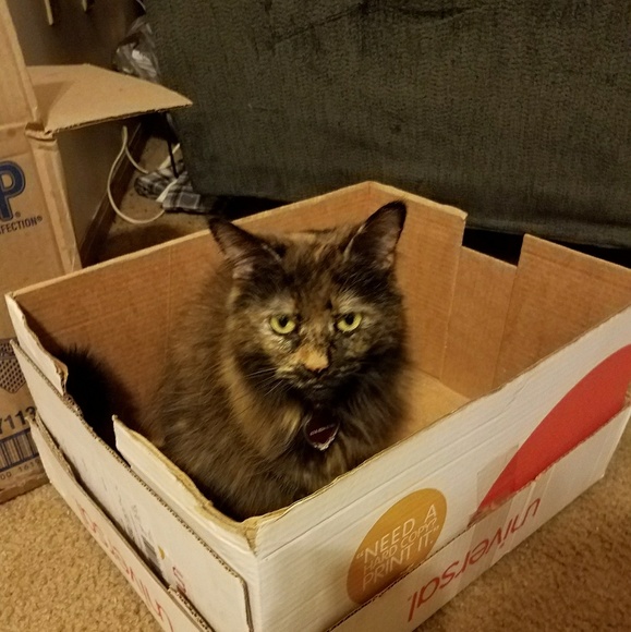 Profile Picture of Lisa Kennedy (@greeneyes190) on Poshmark