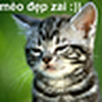 Profile Picture of Luu Tuan Anh (@luutuananh24h) on Flickr