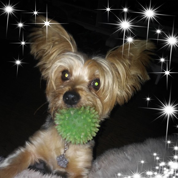 Profile Picture of Gloria Barron (@gloriabarron2) on Poshmark