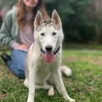 Profile Picture of Isabella McMillan (@Isabella-McMillan) on Facebook