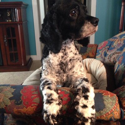 Profile Picture of Judy Rhea Fowler (@judyanns1018) on Twitter